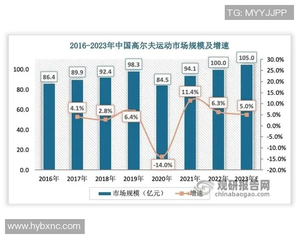 南京网球队个人能力深度解析与发展策略探讨